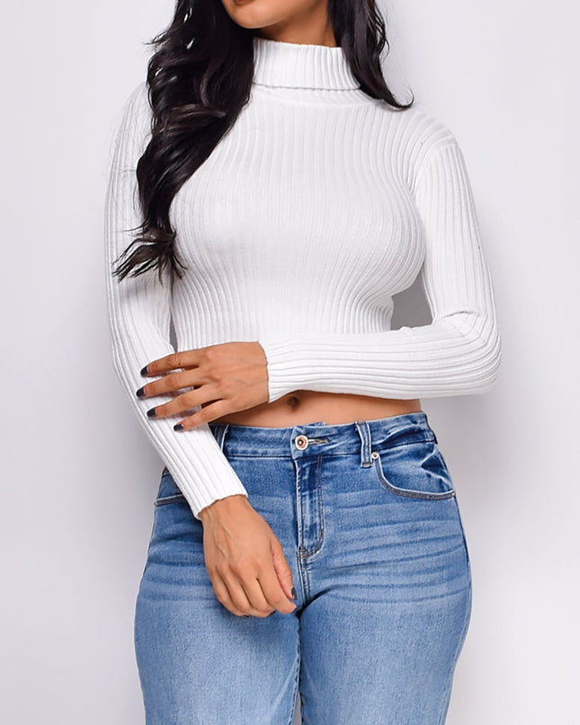 Off White Basic Turtle Neck Crop Ribbed Sweater Top