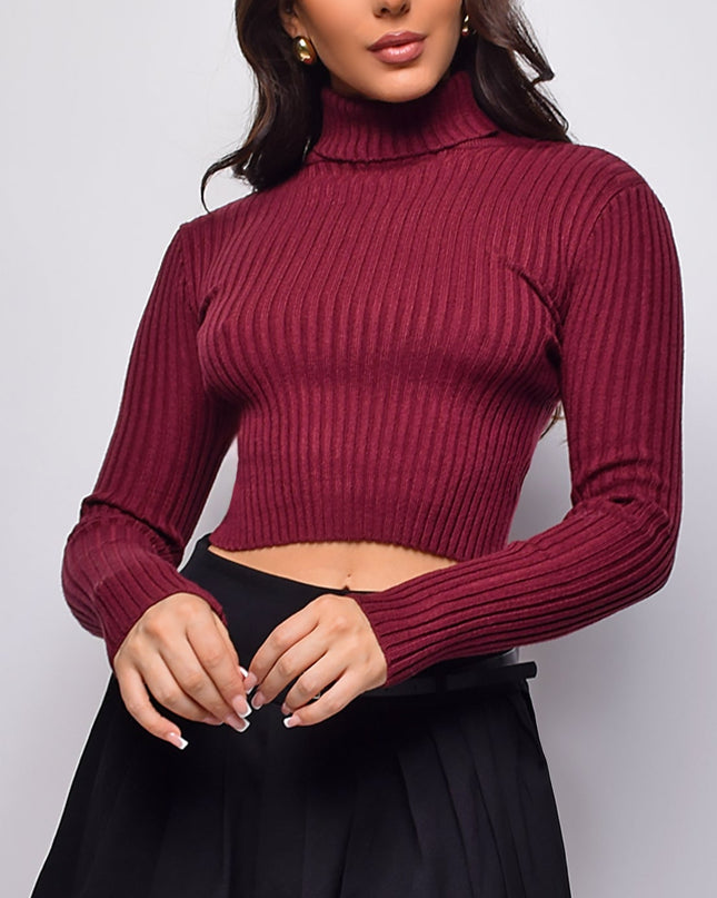 Burgundy Basic Turtle Neck Crop Ribbed Sweater Top