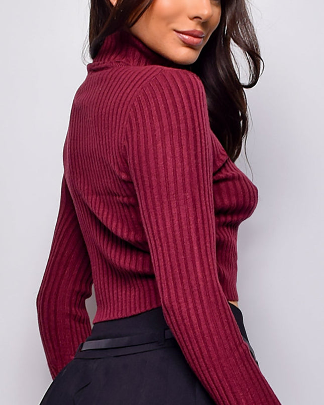 Burgundy Basic Turtle Neck Crop Ribbed Sweater Top